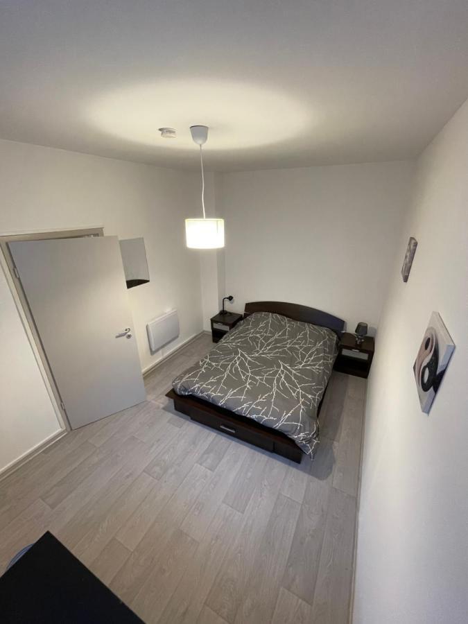 Superbe Appartement Renove Au Centre De Forbach Eksteriør billede